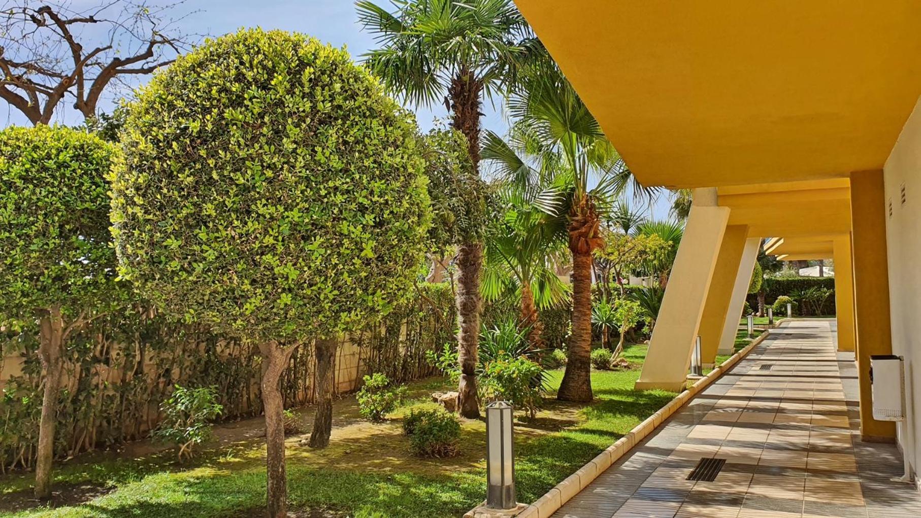 Apartamento Devesa Park Gandia - Alquiler Solo A Familias Playa de Gandía Exterior foto